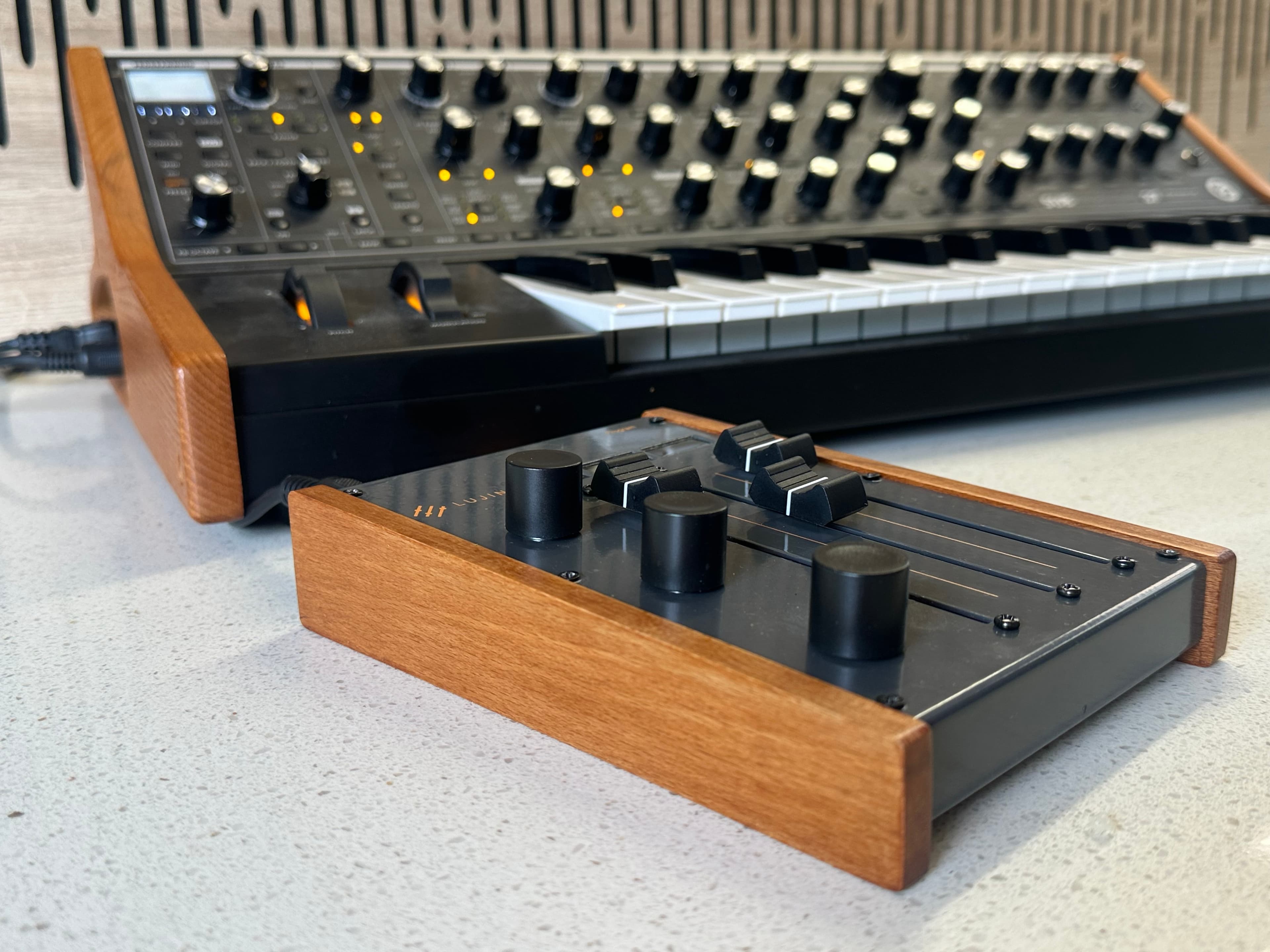 Lujin alongside a Moog synthesiser